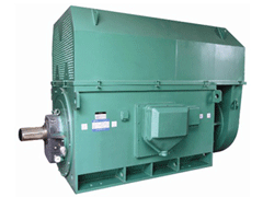 澄迈Y系列6KV高压电机生产厂家